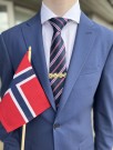 Slipsnål forgylt med sten thumbnail